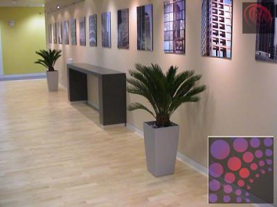 landscape gardening indoor plants interlock paving-0556565774