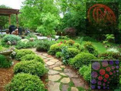 LANDSCAPING & GARDEN DESIGN ABUDHABI