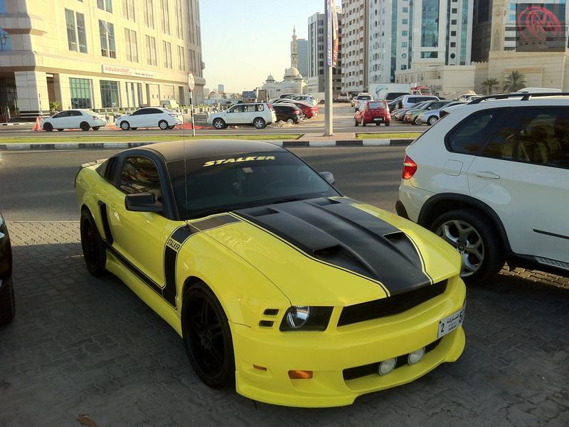 Mustang GT Stalker Cervini, the only one in UAE