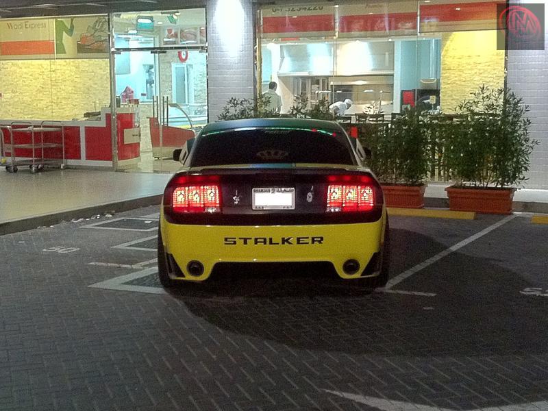 Mustang GT Stalker Cervini, the only one in UAE