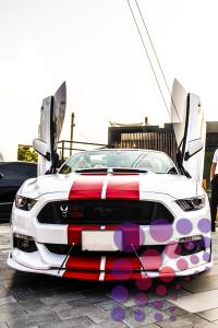 عرض بيع السيارات في الشارقة